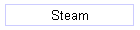 Steam