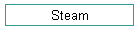 Steam